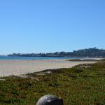 Cambria_0372 (October 31, 2013)